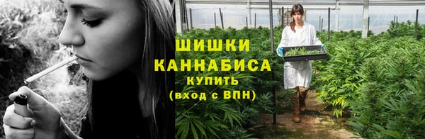 индика Белокуриха